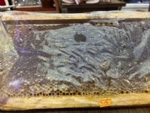 Doğal Petek Çam Balı 2,250 Gram